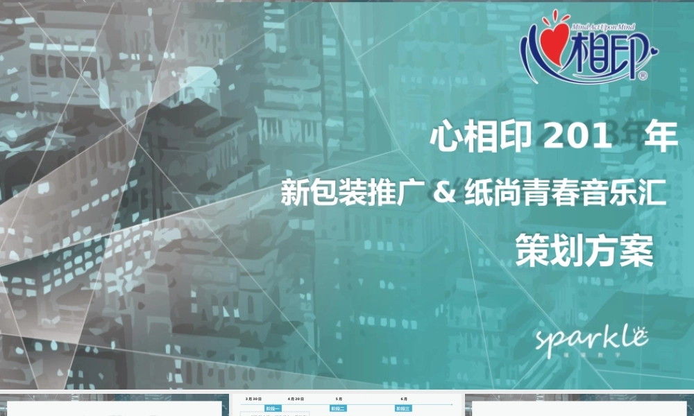 心相印新品线上线下推广全案.pptx