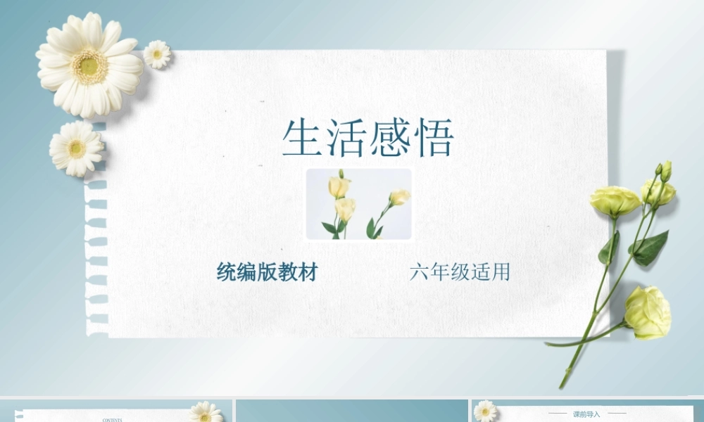 主题：生活感悟-2023-2024学年六年级语文作文主题课件（统编版）.pptx