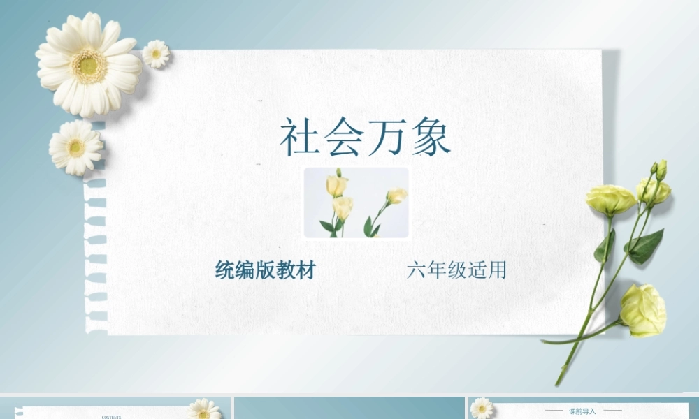 主题：社会万象-2023-2024学年六年级语文作文主题课件（统编版）.pptx