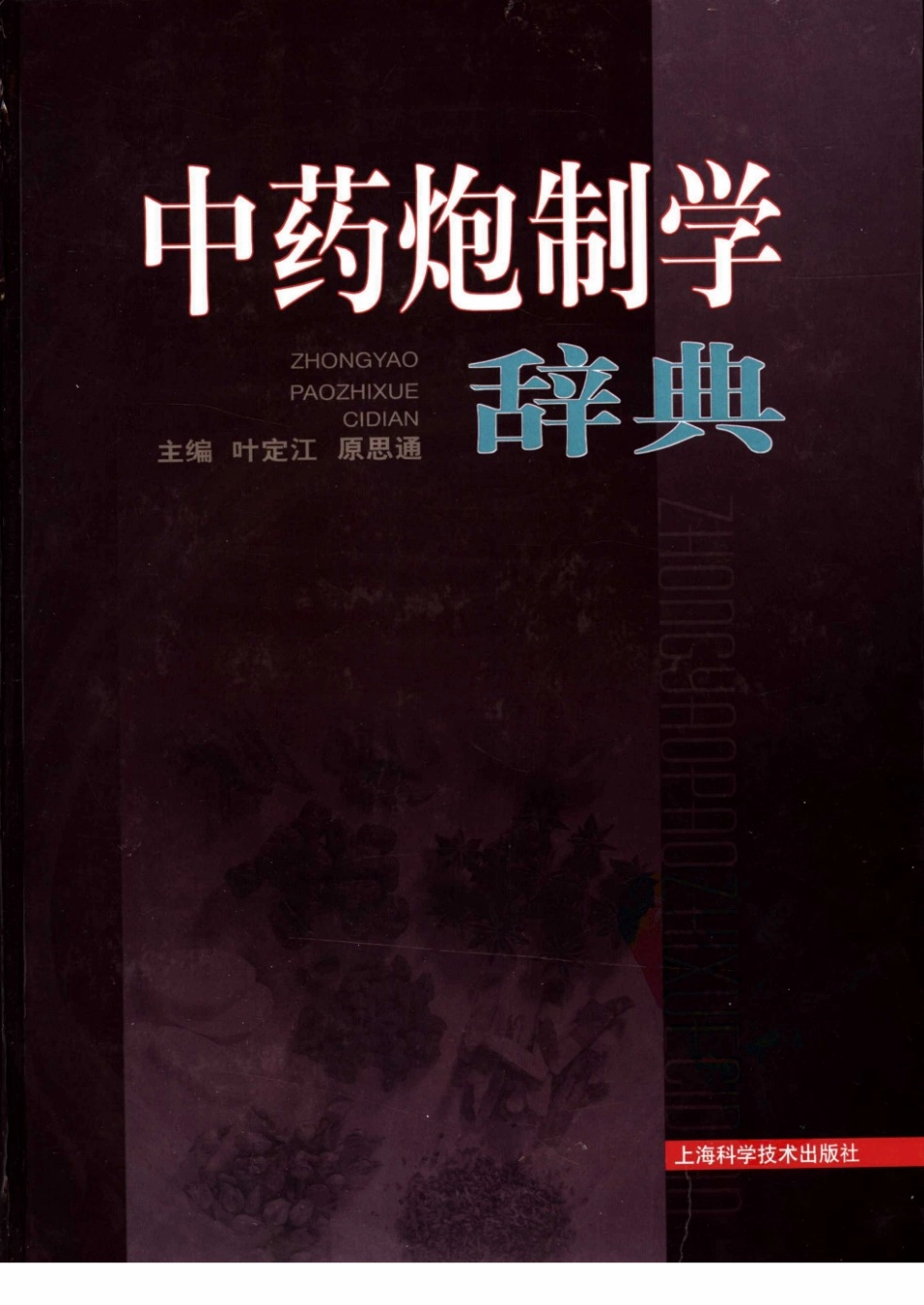 中药炮制学辞典（叶定江 原思通主编）.pdf_第1页