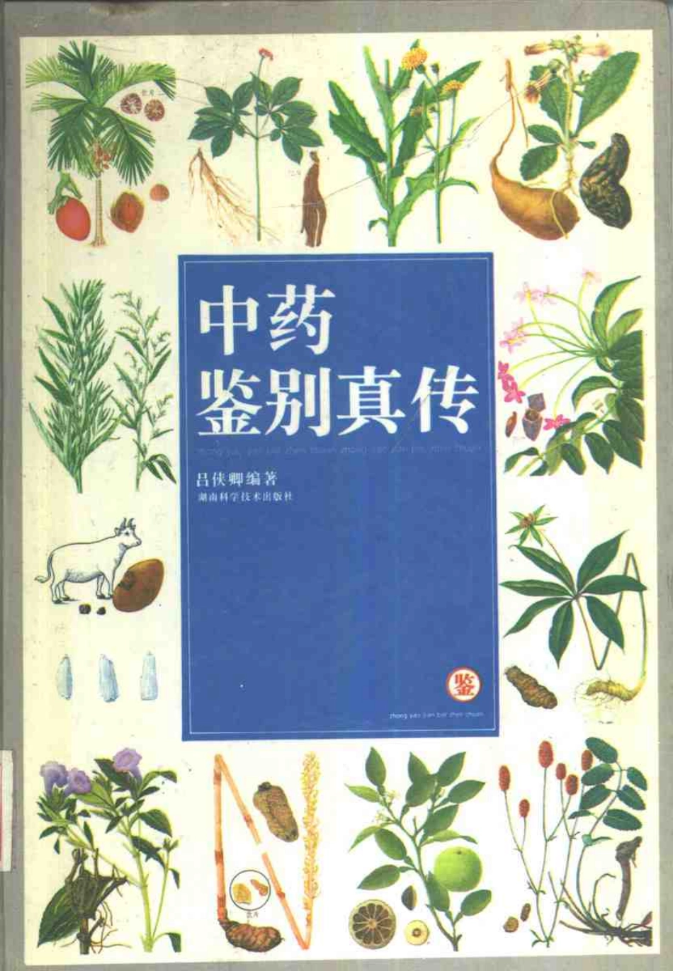 中药鉴别真传.pdf_第1页