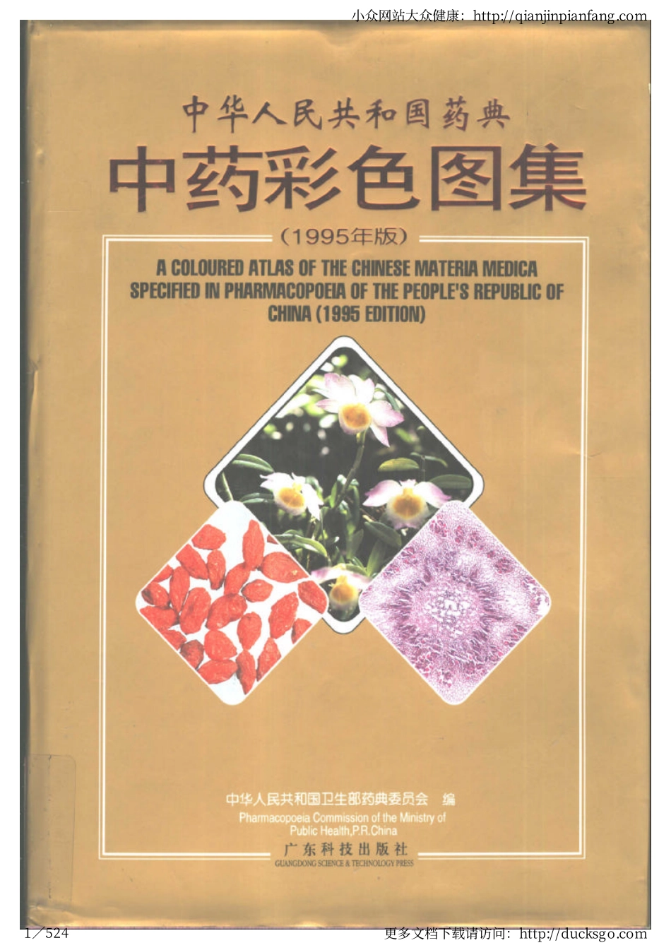 中药典彩色图集（1995版）.pdf_第1页