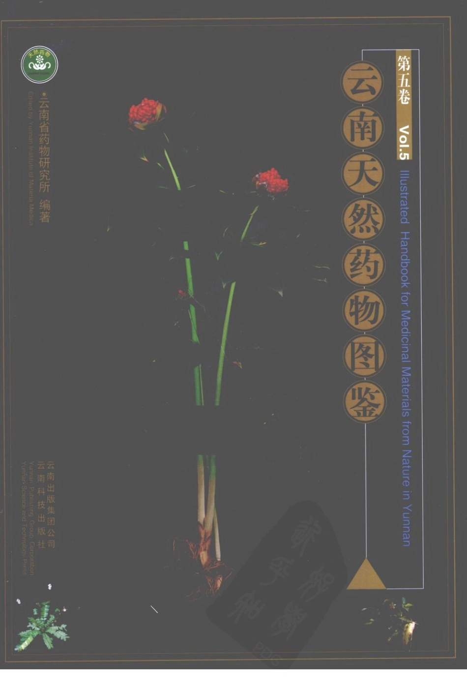 云南天然药物图鉴（第五卷）.pdf_第1页