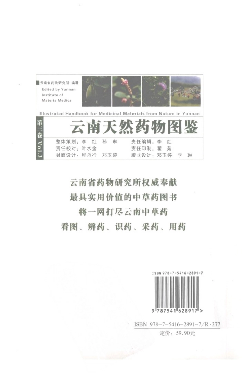 云南天然药物图鉴（第三卷）.pdf_第2页