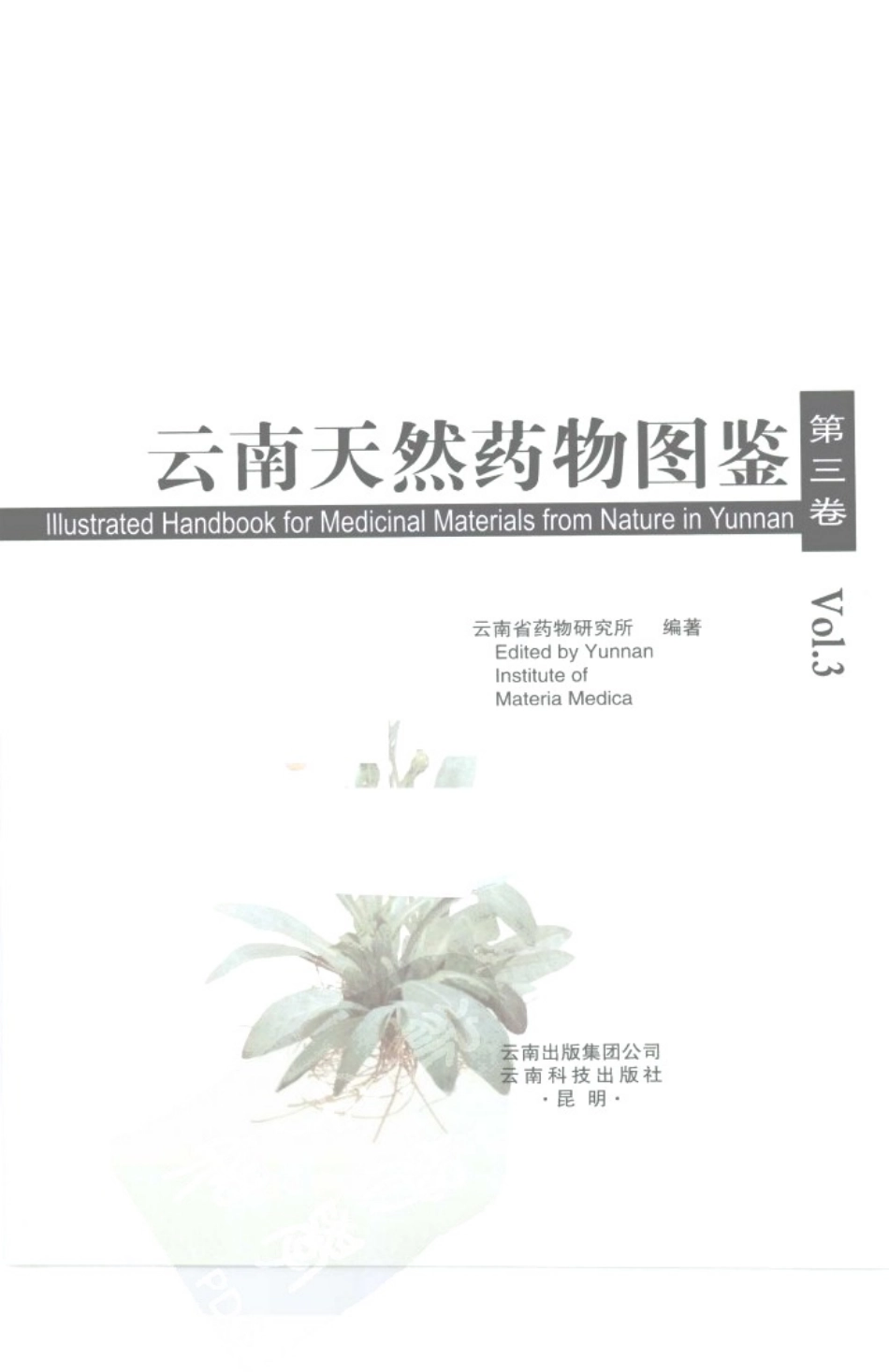 云南天然药物图鉴（第三卷）.pdf_第3页