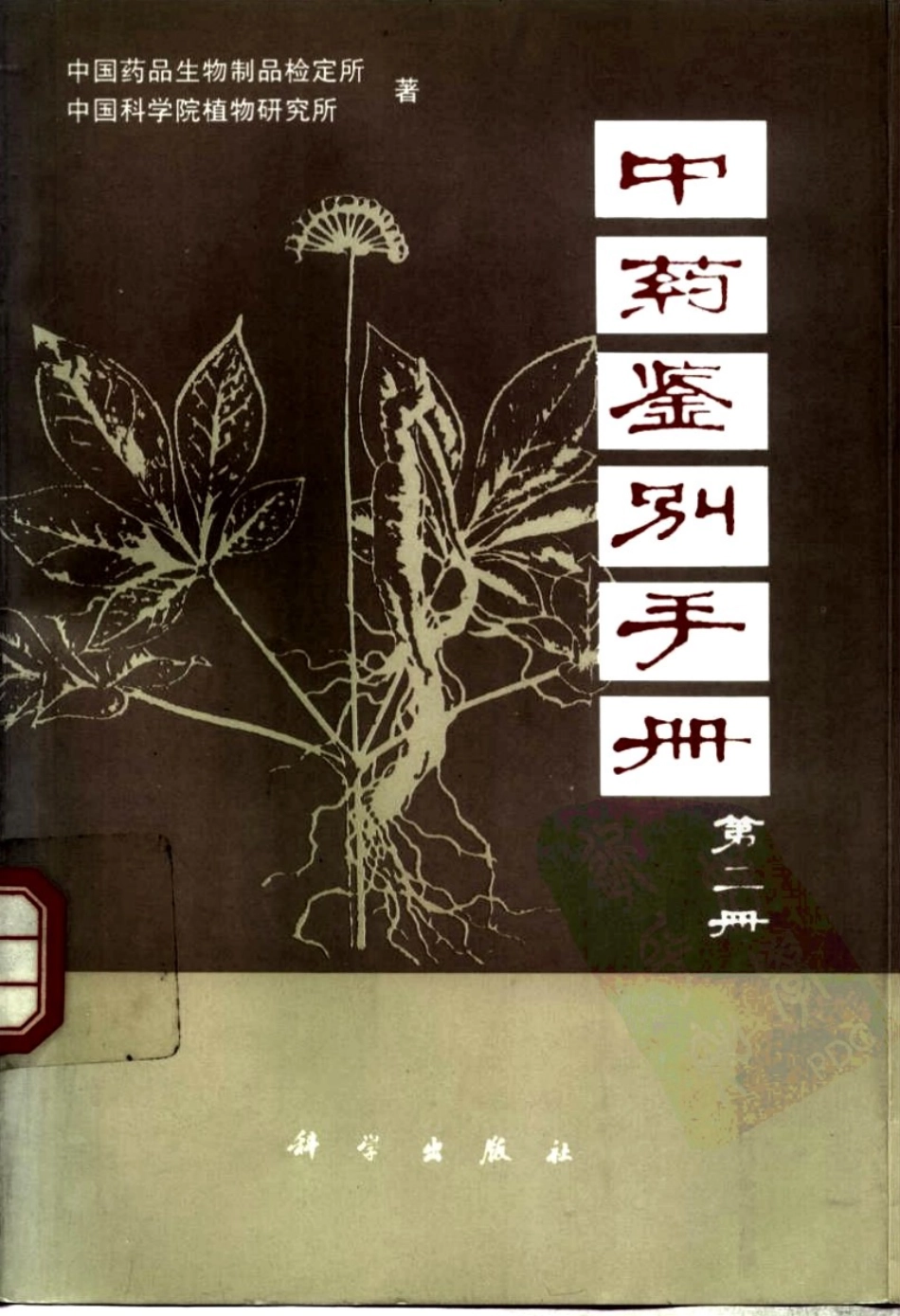 中药鉴别手册第2册.pdf_第1页