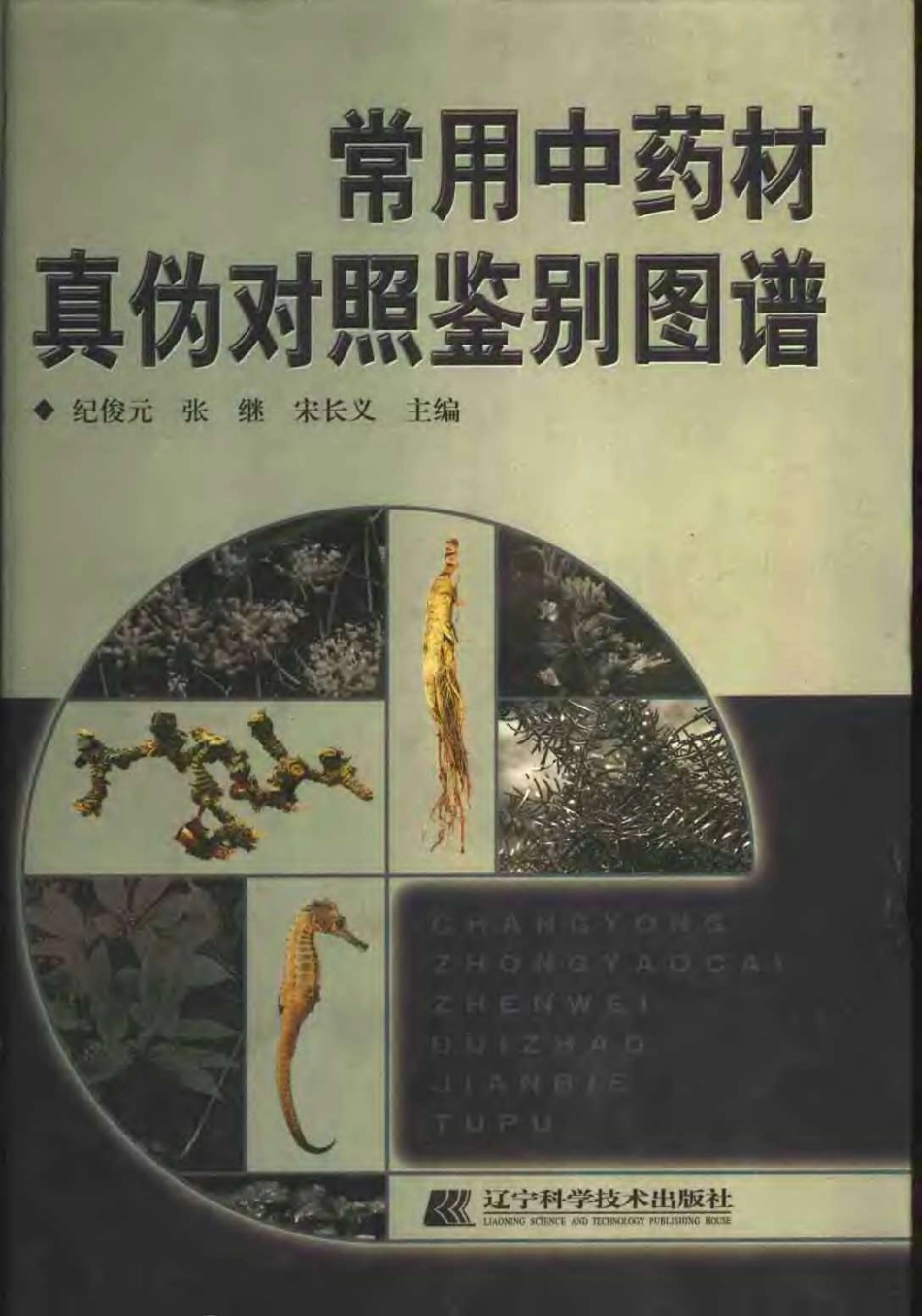 常用中药材真伪对照鉴别图谱（彩图版）.pdf_第1页
