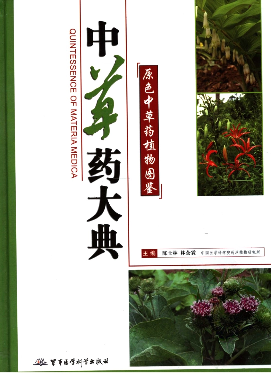 中草药大典（上册）（陈士林林余霖主编）.pdf_第1页