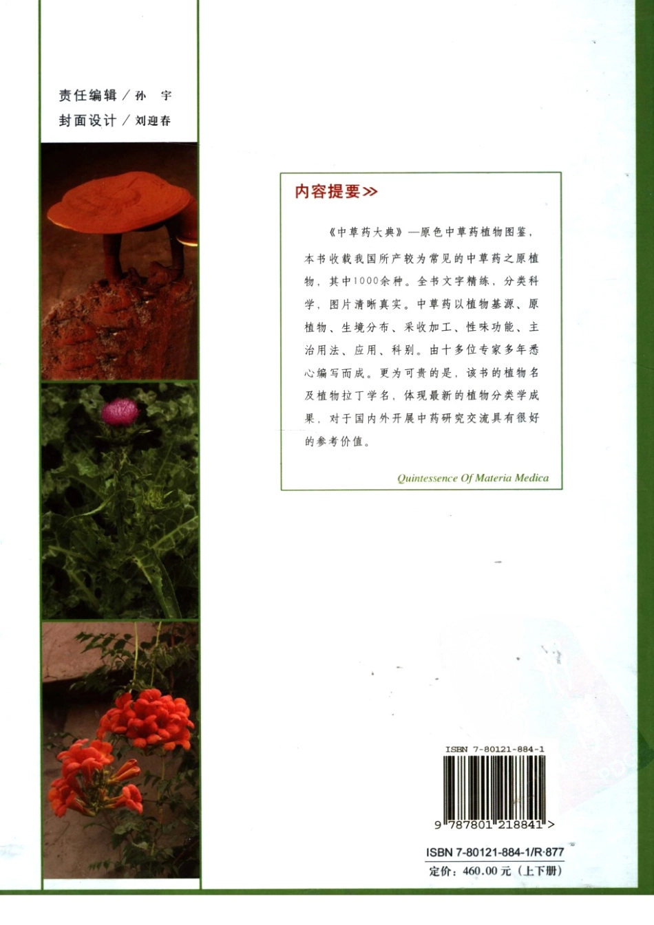 中草药大典（上册）（陈士林林余霖主编）.pdf_第2页