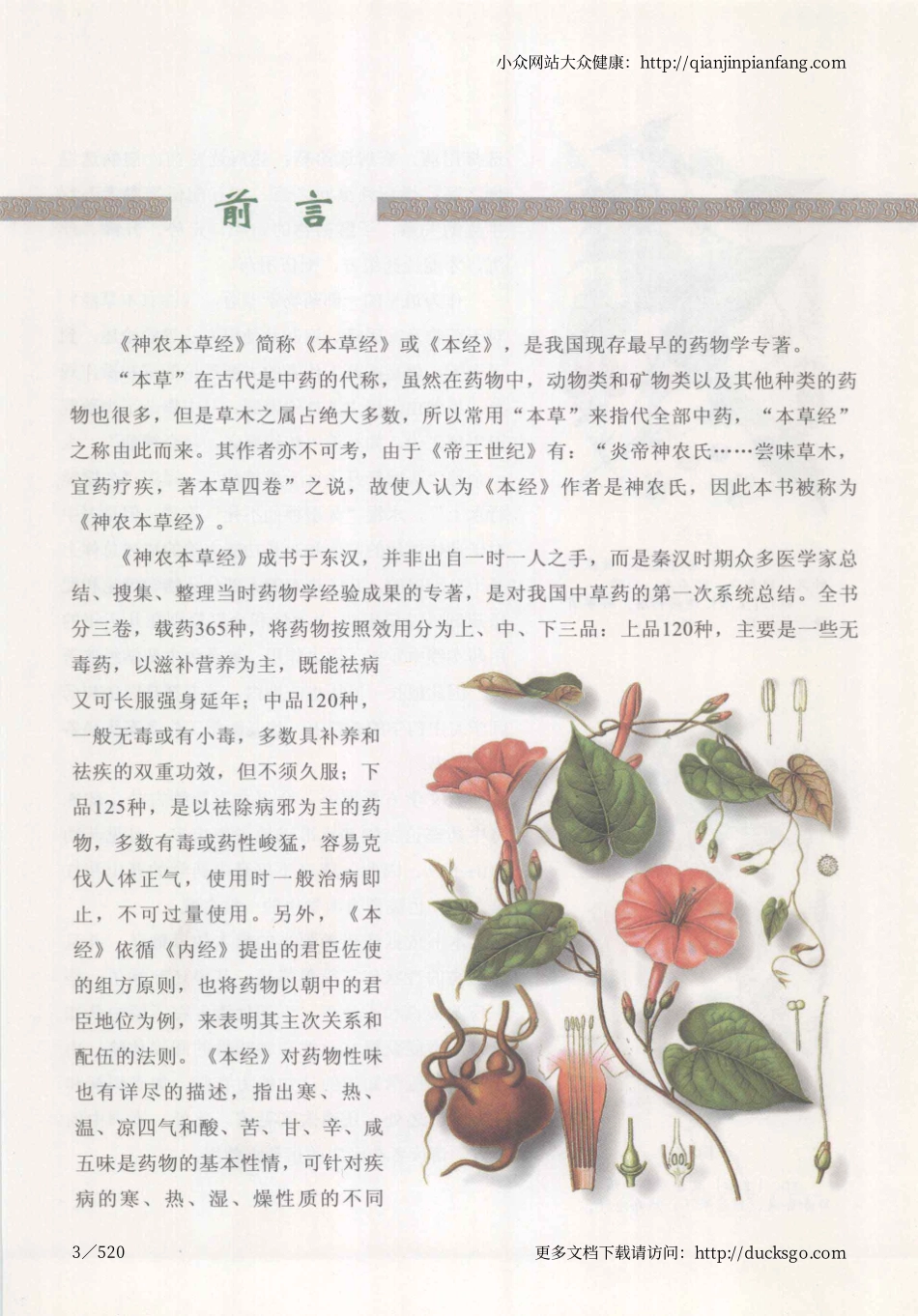 神农本草经图鉴（陈大为、王宝玲）（高清版）@qianjinpianfang.com.pdf_第3页