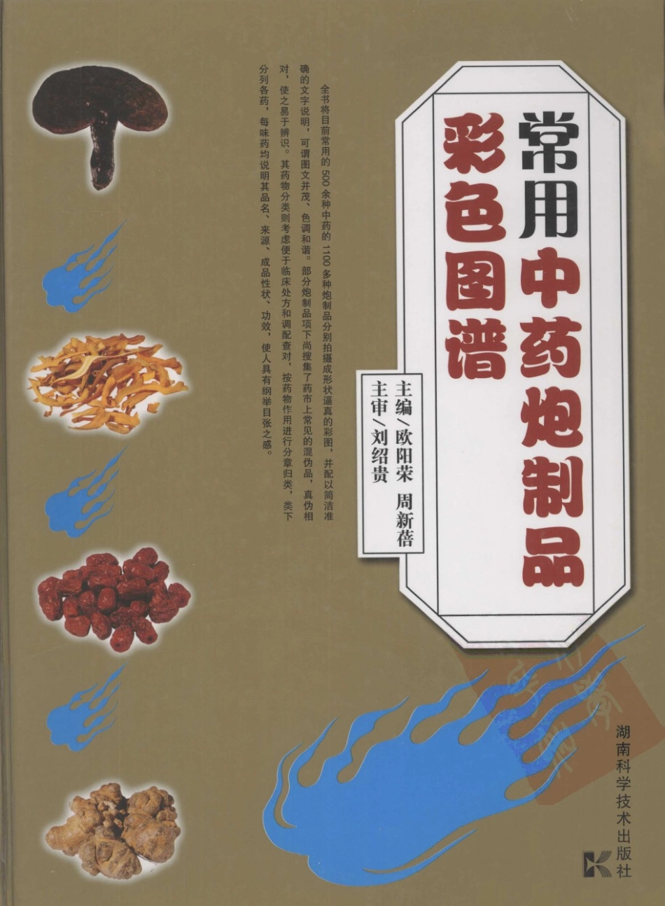 常用中药炮制品彩色图谱（高清版）.pdf_第1页