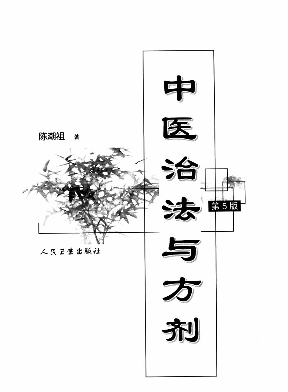 中医治法与方剂.pdf_第3页