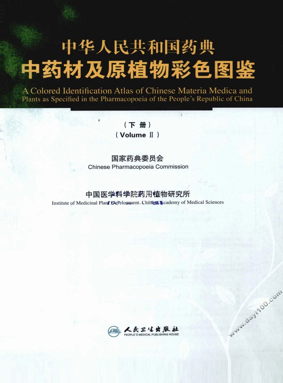 中华人民共和国药典中药材及原植物彩色图鉴（下册）.pdf_第3页