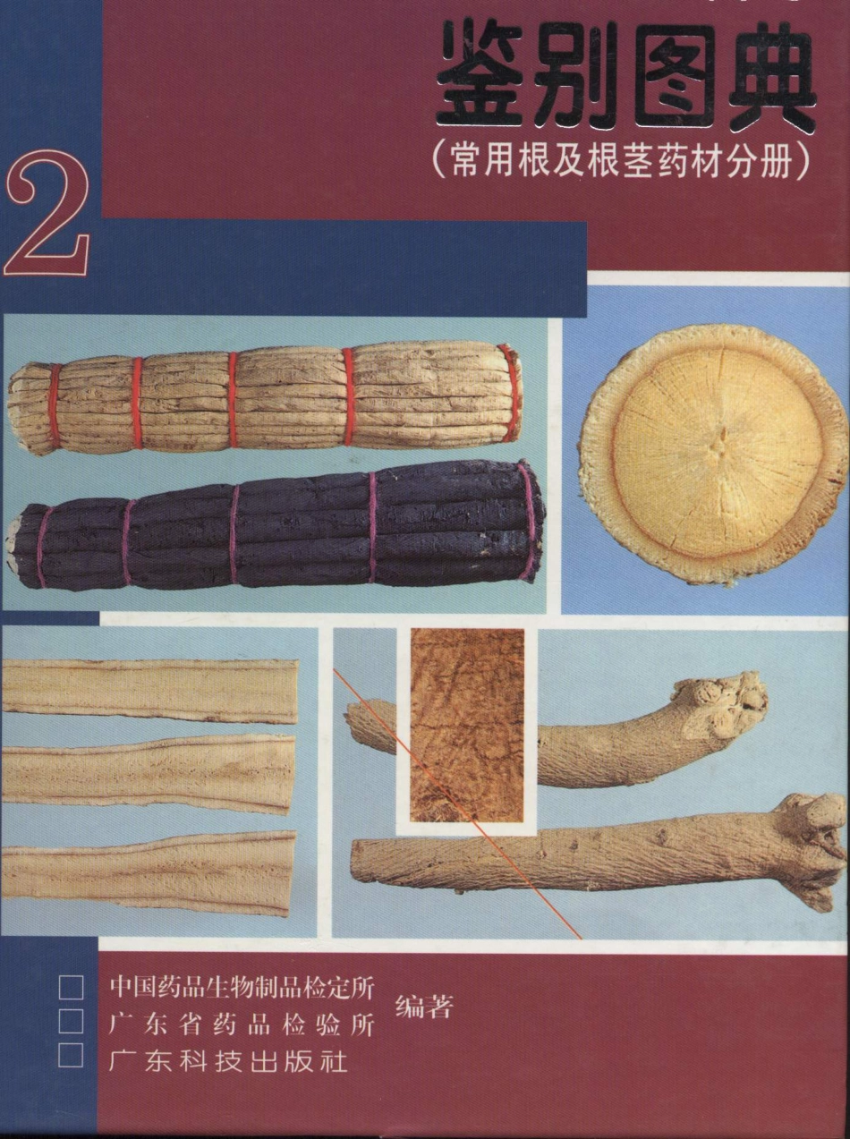 中国中药材真伪鉴别图典（第二分册）.pdf_第1页