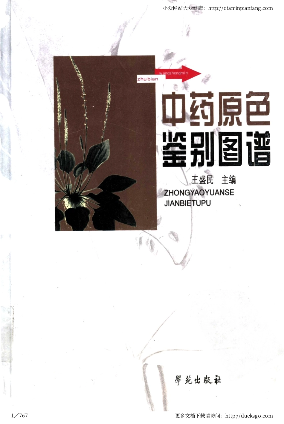 中药原色鉴别图谱（王盛民）（高清版）.pdf_第1页