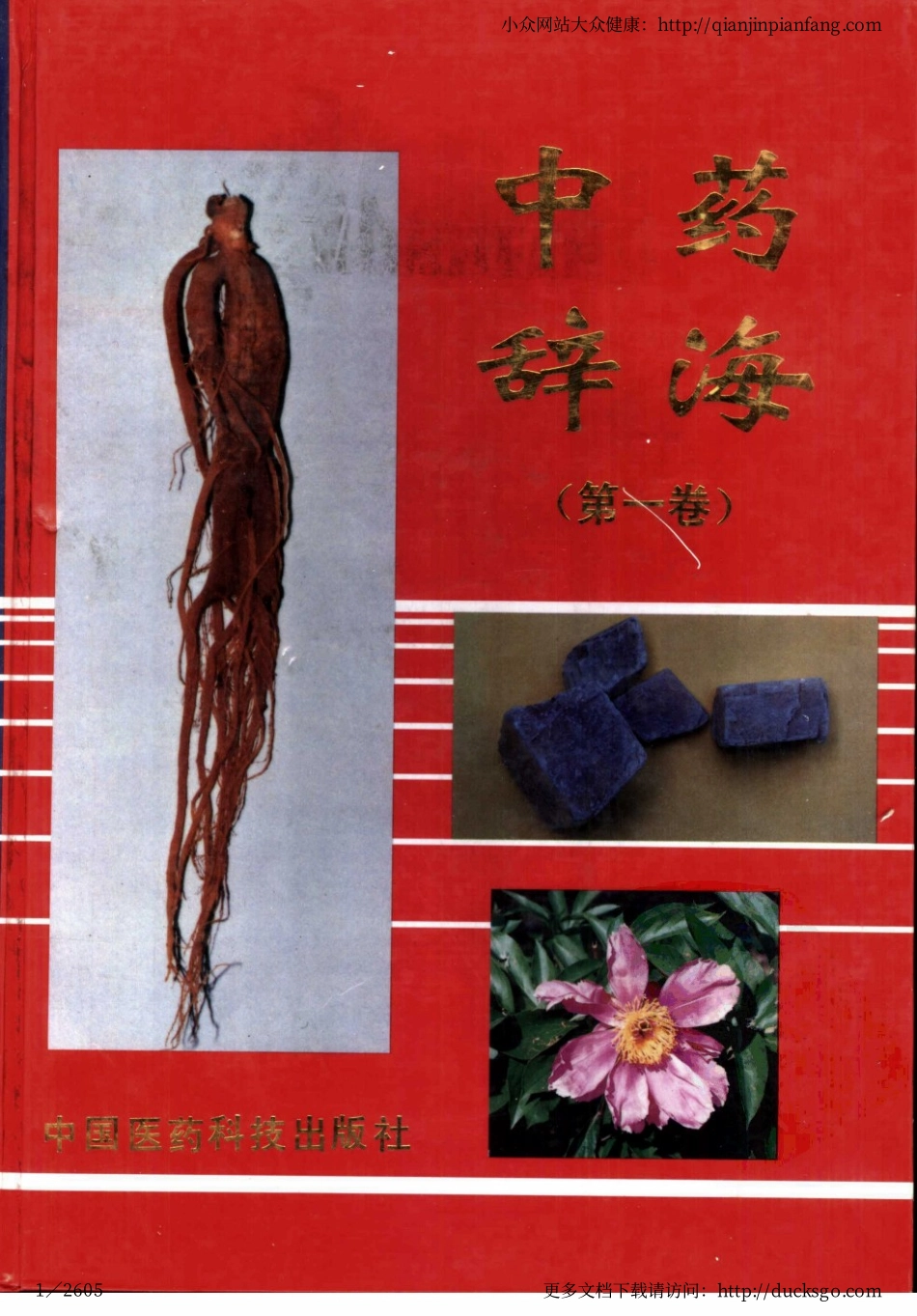 中药辞海（第一卷）.pdf_第1页