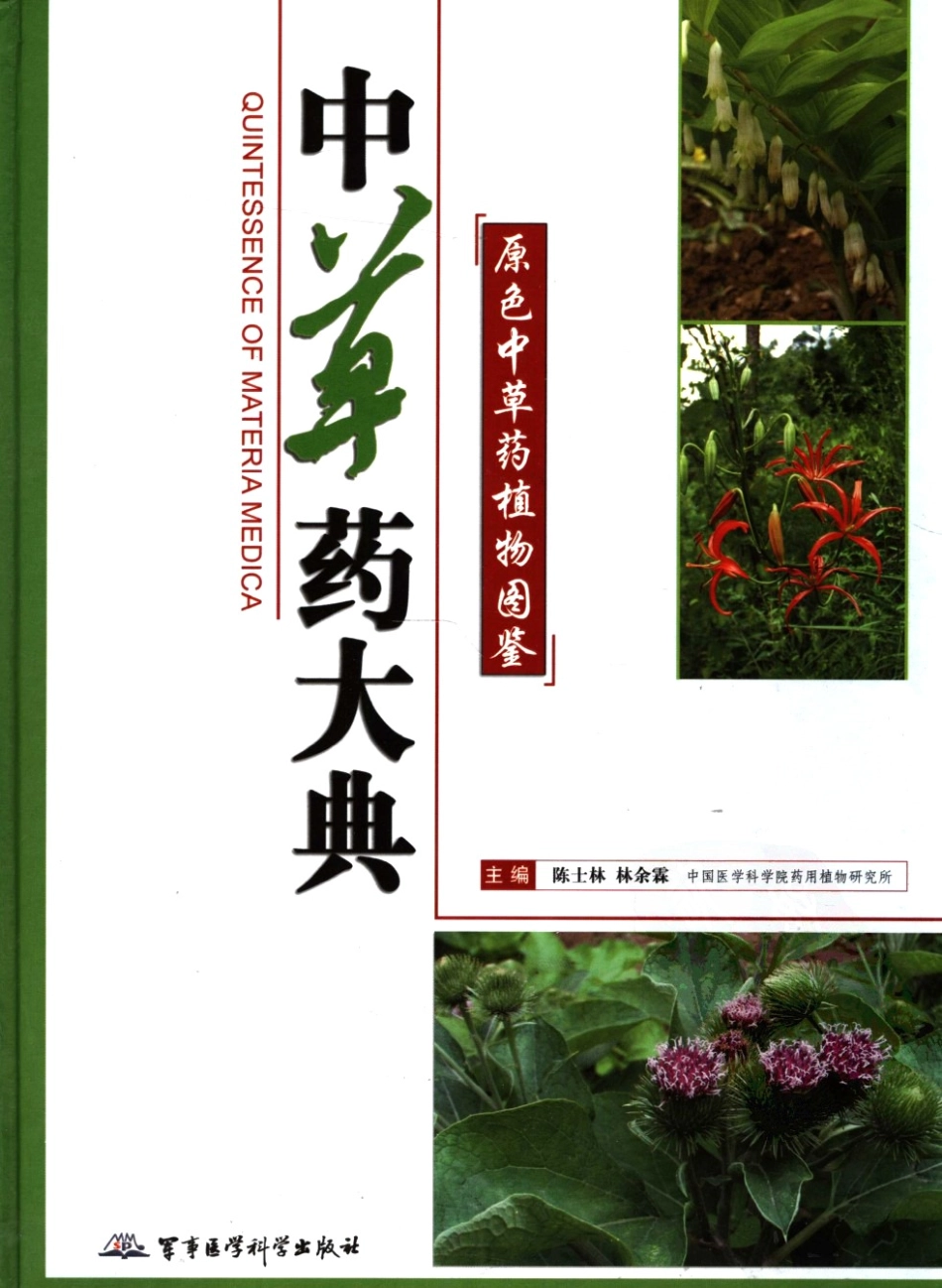 中草药大典（下册）（陈士林林余霖主编）.pdf_第1页