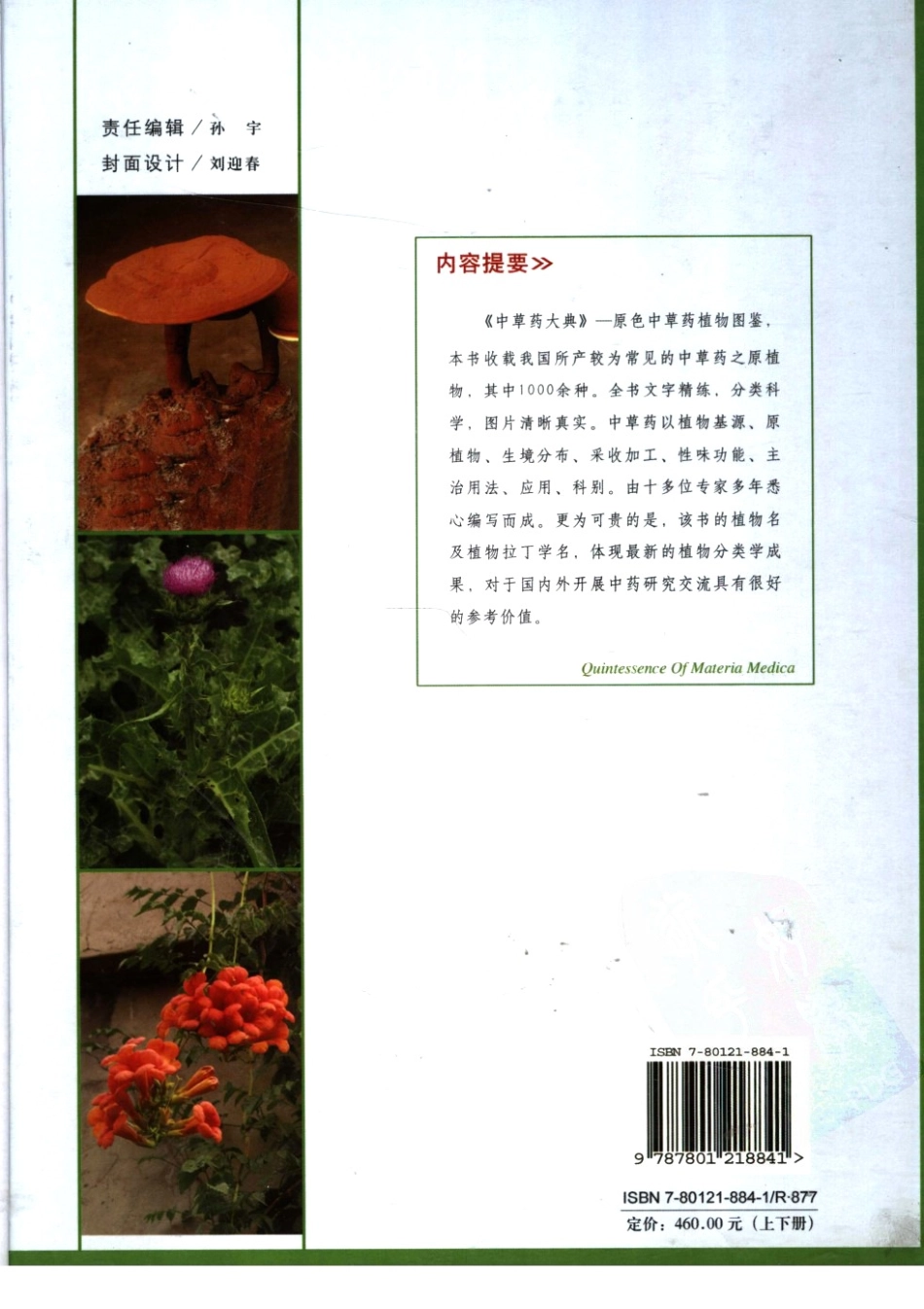 中草药大典（下册）（陈士林林余霖主编）.pdf_第2页