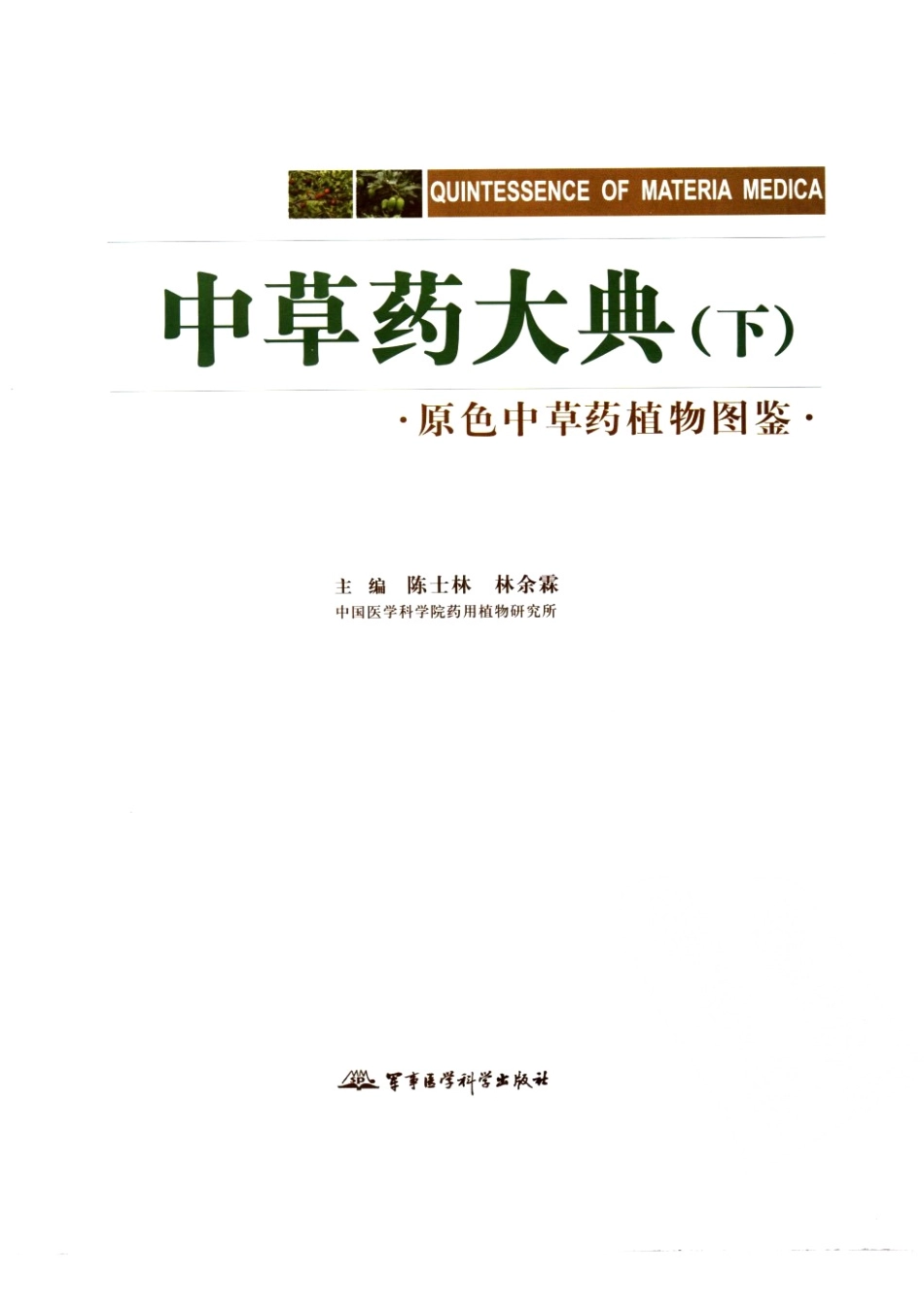 中草药大典（下册）（陈士林林余霖主编）.pdf_第3页