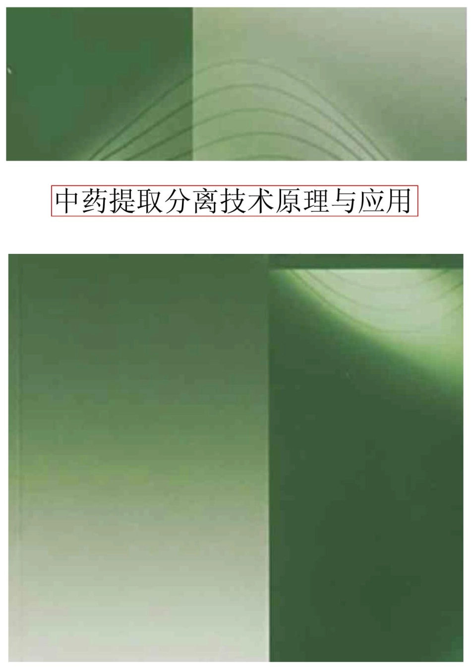 中药提取分离技术原理与应用.pdf_第1页