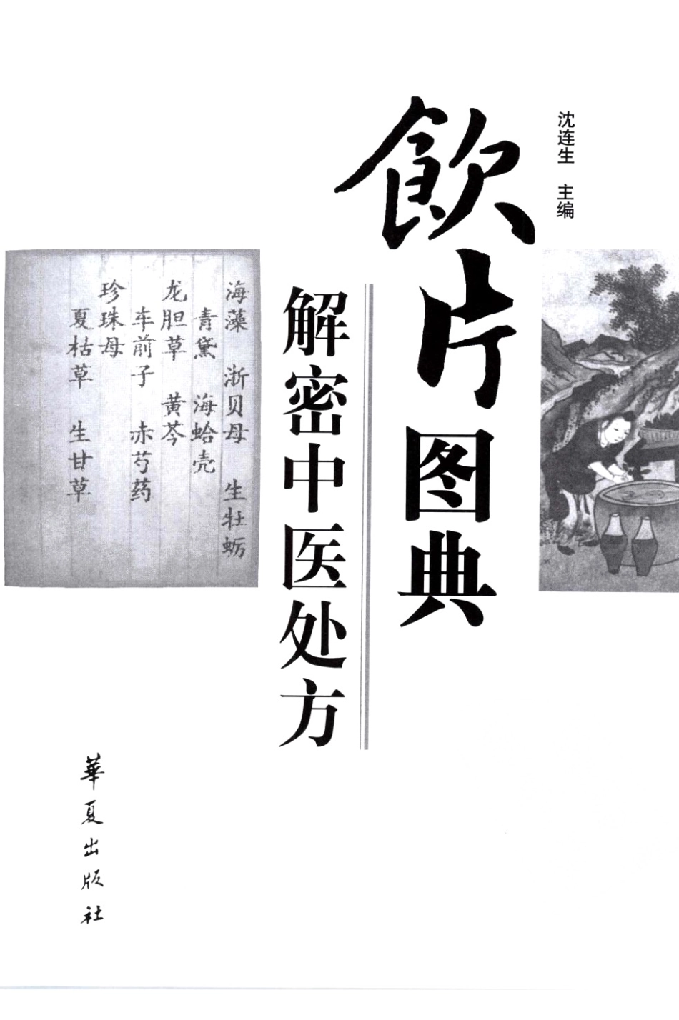饮片图典 — 解密中医处方（沈连生主编）.pdf_第3页