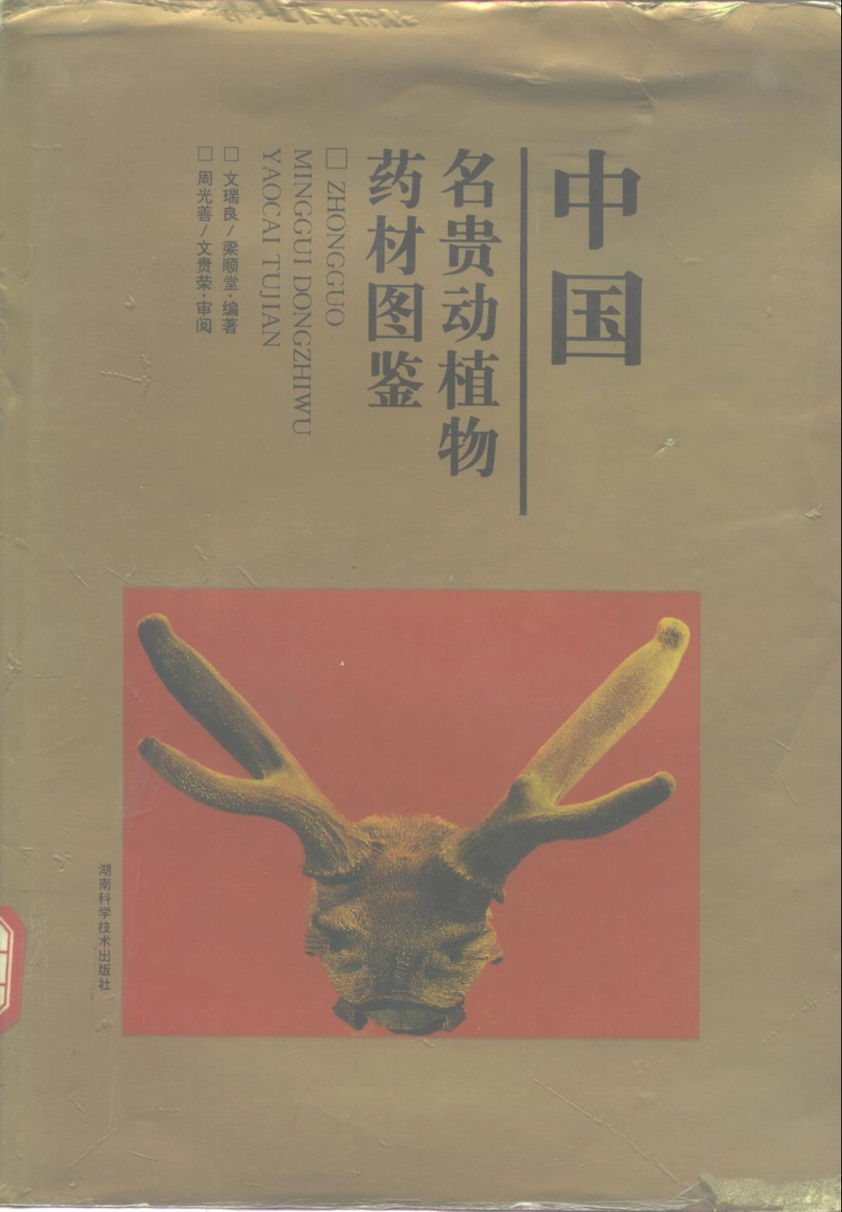 中国名贵动植物药材图鉴（高清版）.pdf_第1页