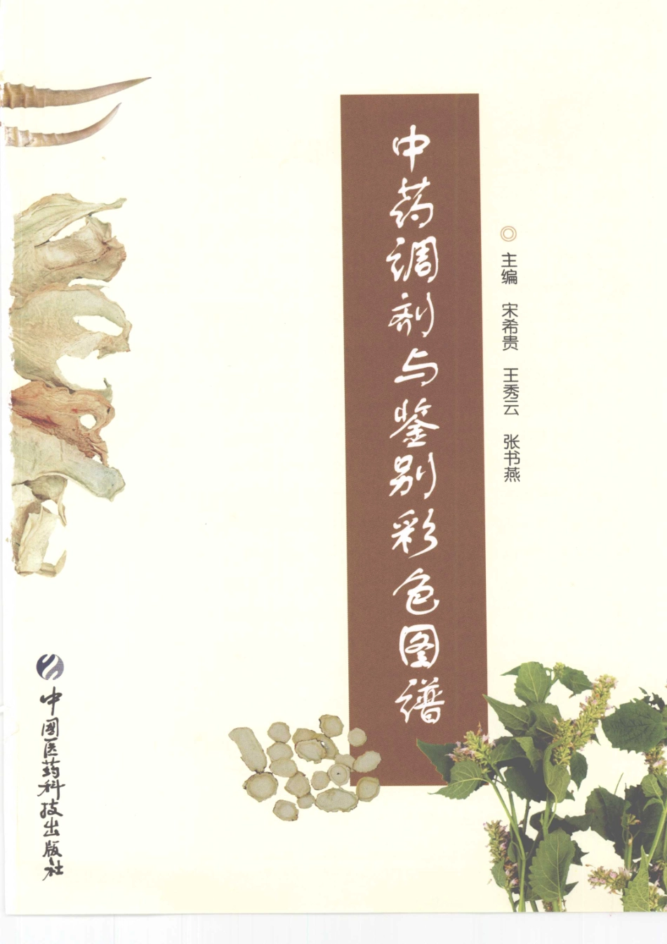 中药调剂与鉴别彩色图谱（高清版）.pdf_第3页