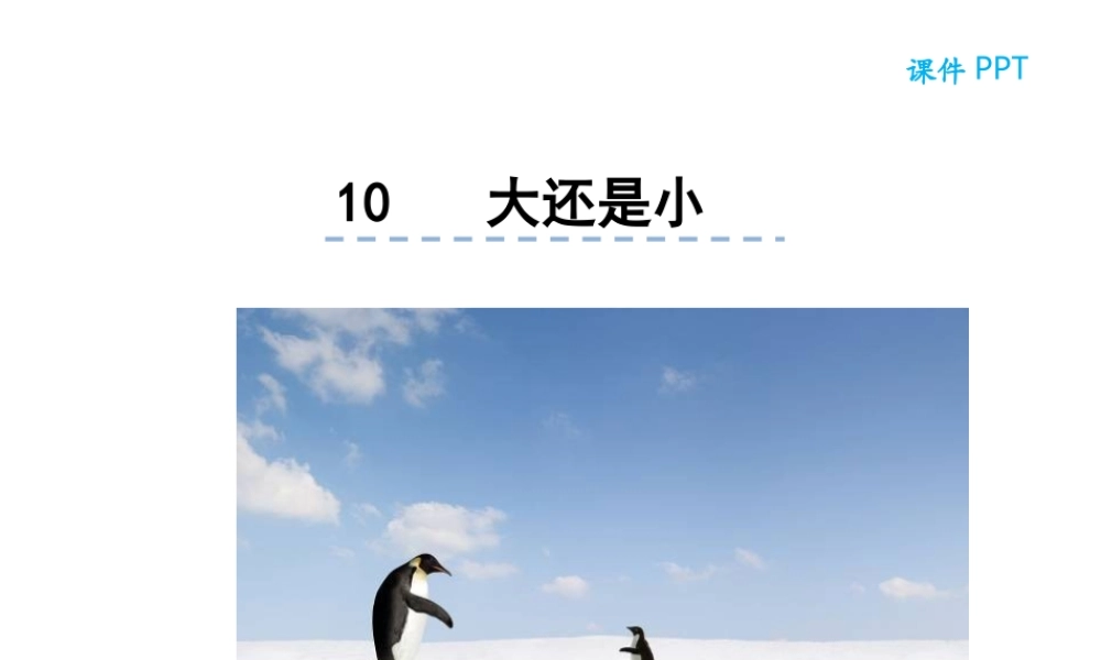 10大还是小.ppt
