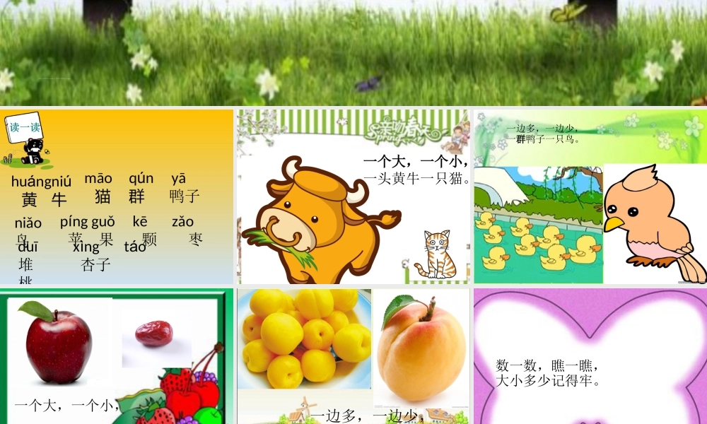7 大小多少 课件.ppt
