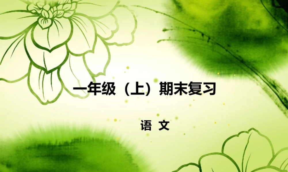 统编版一年级上册语文期末总复习资料.ppt