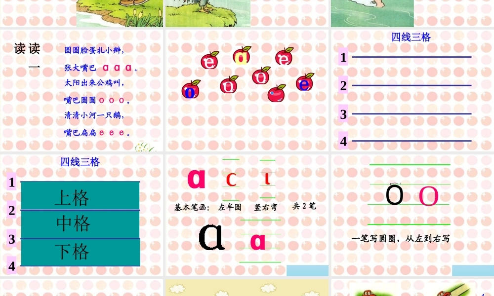 （课堂教学课件2）a o e.ppt