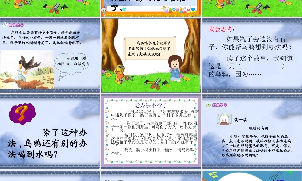 （课堂教学课件2）乌鸦喝水.ppt
