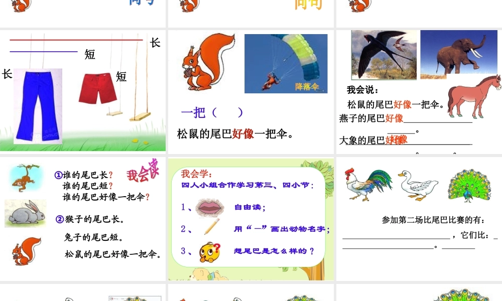 （课堂教学课件2）比尾巴.ppt