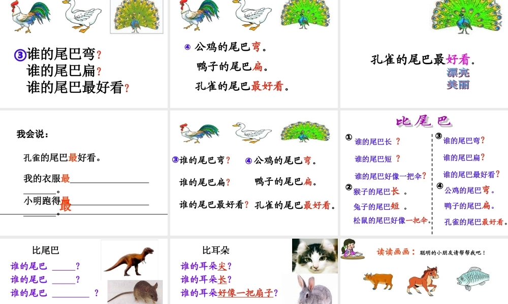 （课堂教学课件2）比尾巴.ppt