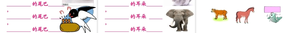 （课堂教学课件2）比尾巴.ppt