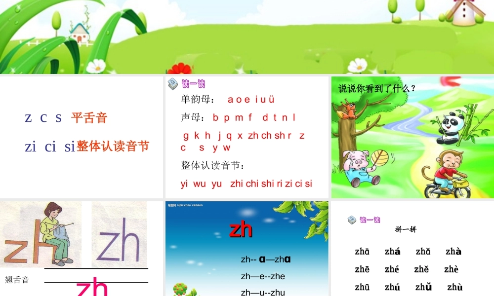 （课堂教学课件3）zh ch sh r.ppt