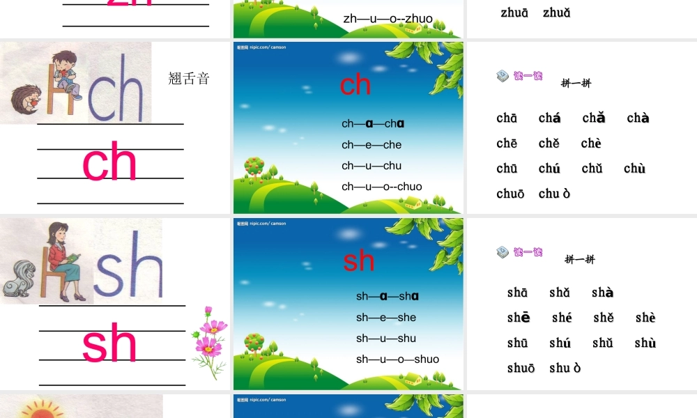 （课堂教学课件3）zh ch sh r.ppt