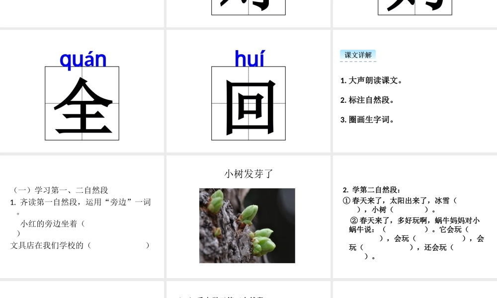 （课堂教学课件3）小蜗牛.ppt
