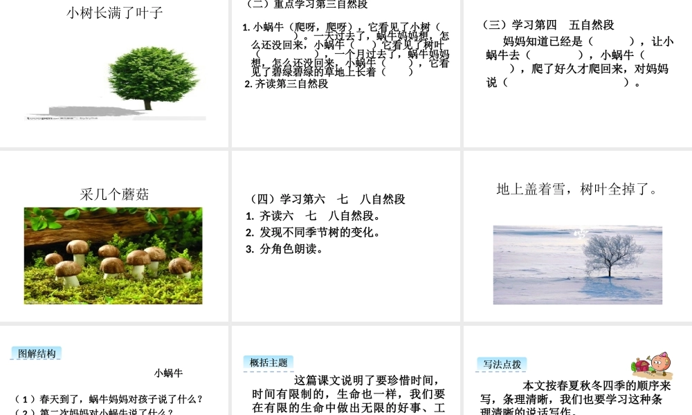 （课堂教学课件3）小蜗牛.ppt
