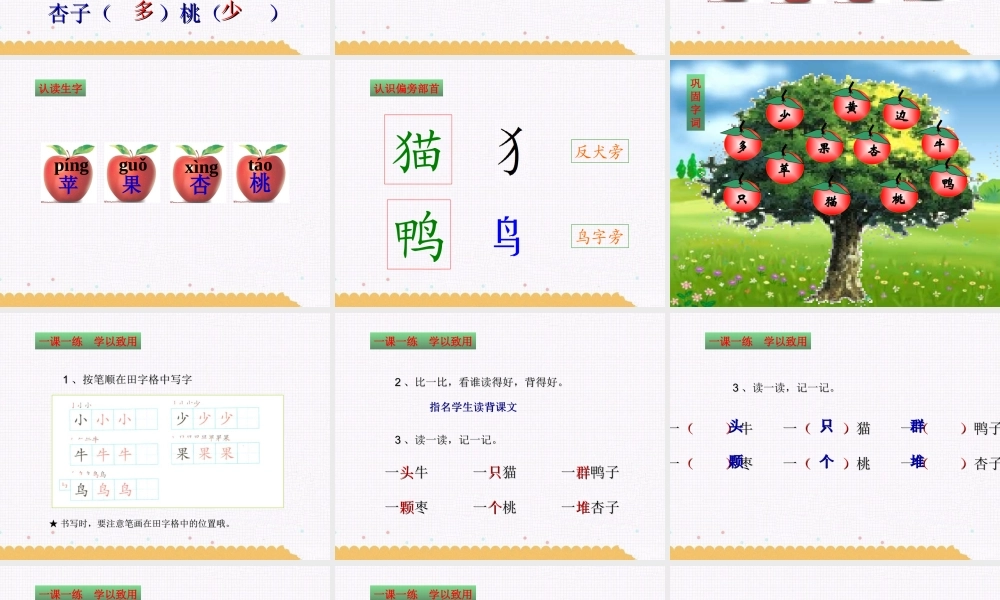 （课堂教学课件3）大小多少.ppt