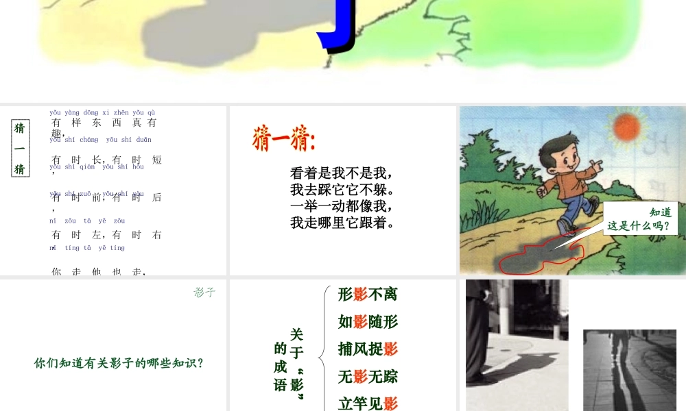 （课堂教学课件3）影子.ppt
