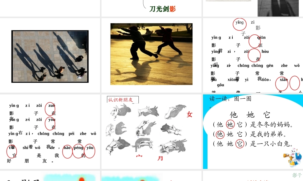（课堂教学课件3）影子.ppt