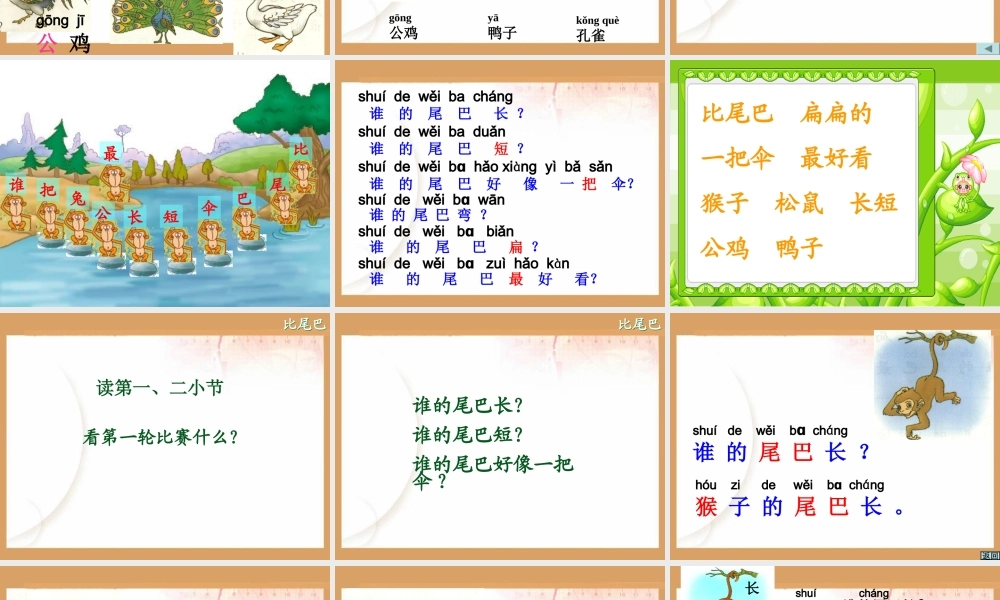 （课堂教学课件3）比尾巴.ppt