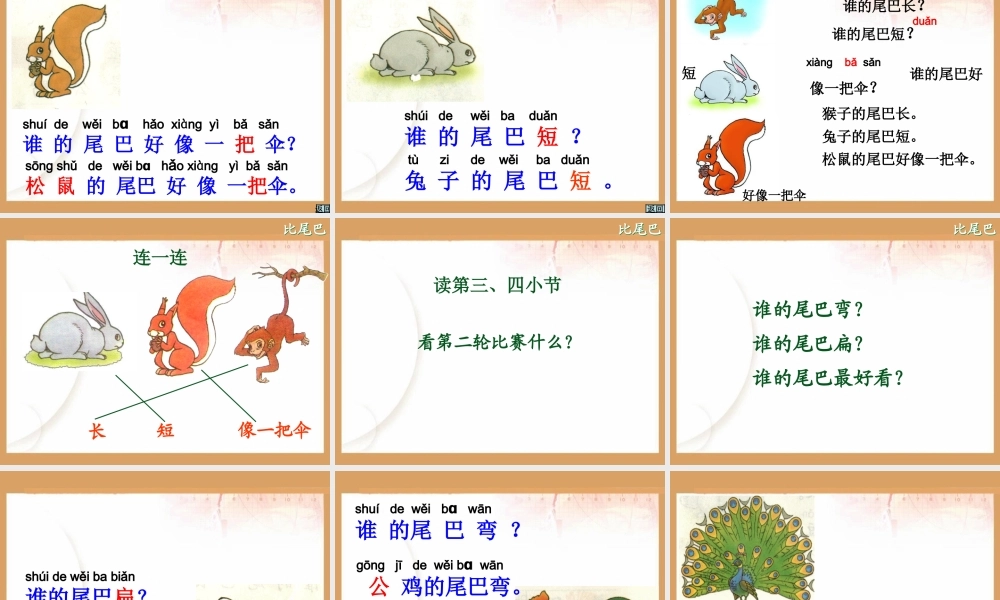 （课堂教学课件3）比尾巴.ppt