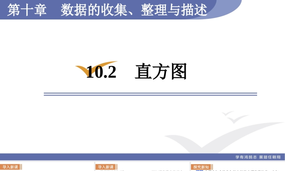 10.2直方图.ppt