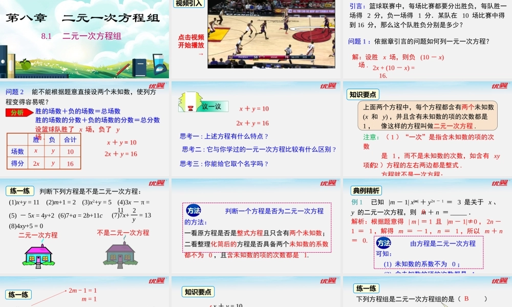 8.1 二元一次方程组.pptx