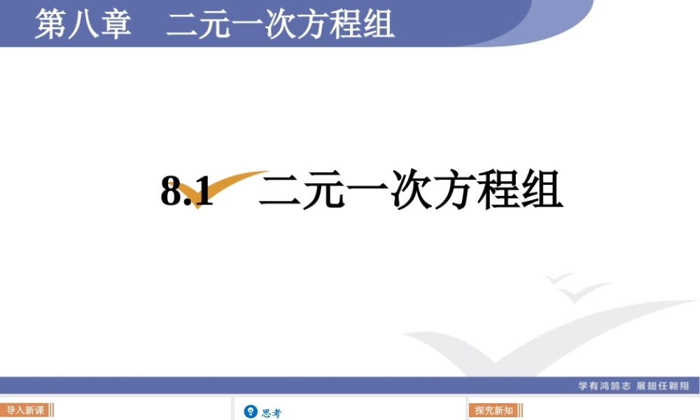 8.1　二元一次方程组.pptx