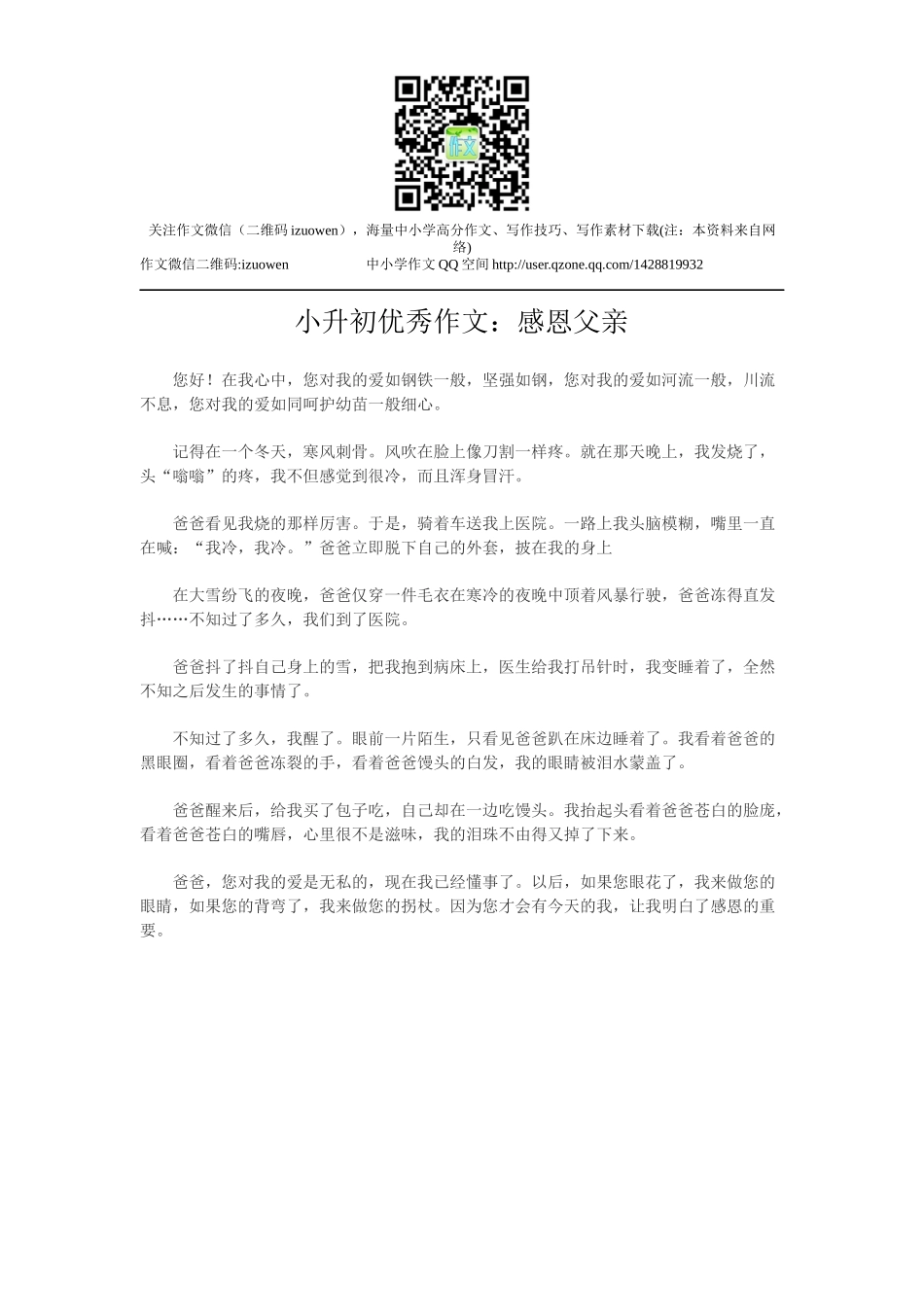 小升初优秀作文：感恩父亲.docx_第1页