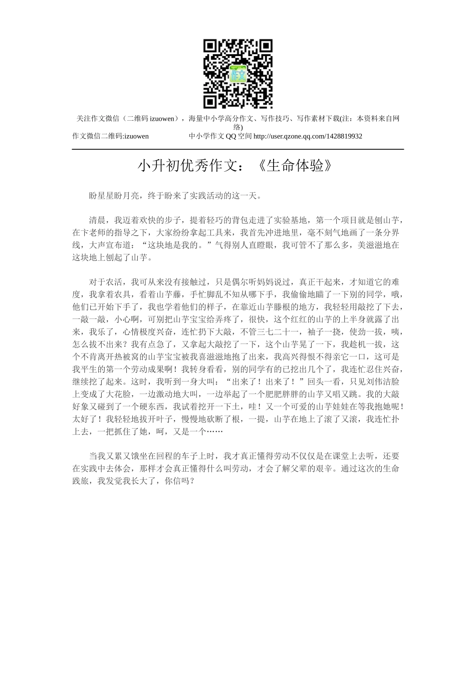 小升初优秀作文：《生命体验》.docx_第1页