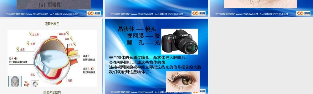 青岛小学科学四下《14 照相机和眼睛》PPT课件 (4)【加微信公众号 jiaoxuewuyou 九折优惠 qq 1119139686】.ppt
